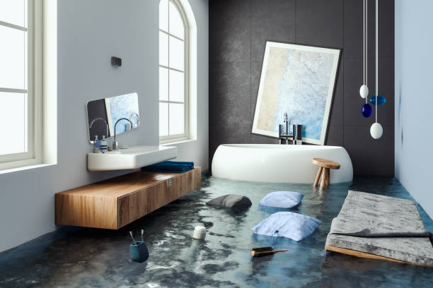 Best Water damage cleanup near me  in South Riding, VA