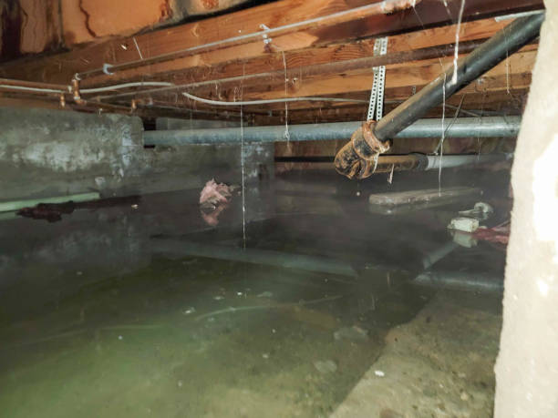 Best Commercial water damage restoration  in South Riding, VA