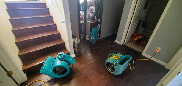 Best Flooded house restoration  in South Riding, VA