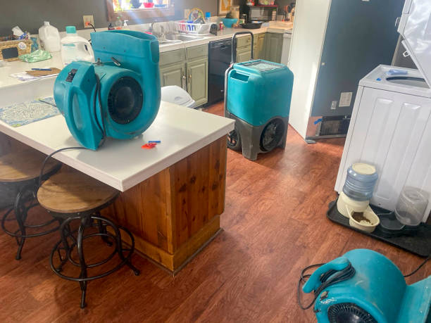 Best Professional water damage repair  in South Riding, VA