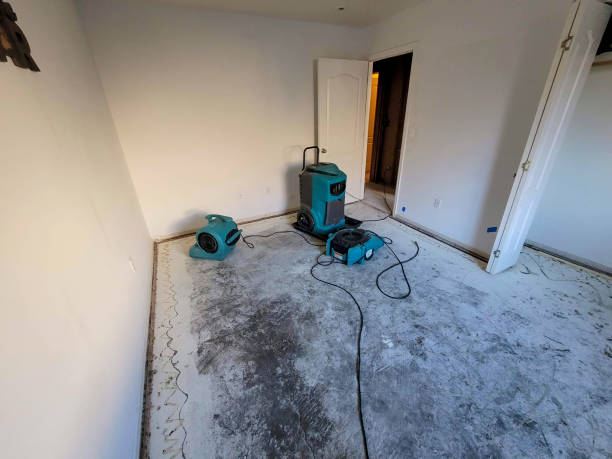 Best Local water damage restoration  in South Riding, VA
