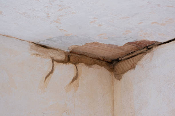 Best Mold removal after water damage  in South Riding, VA
