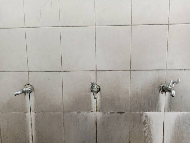 Best Water damage contractors near me  in South Riding, VA