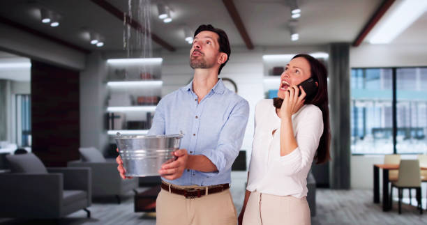Best Flood restoration services  in South Riding, VA
